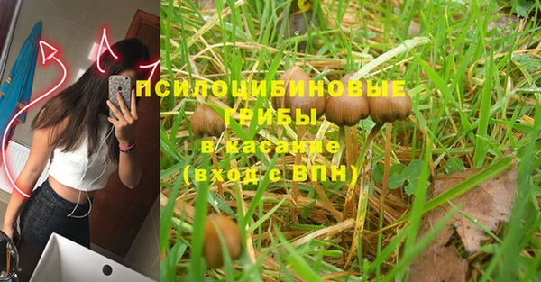 кристаллы Ладушкин
