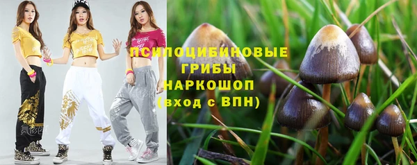 сатива Братск